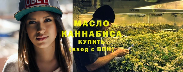 сатива Армянск
