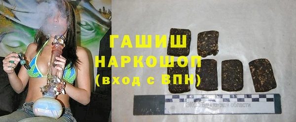 сатива Армянск